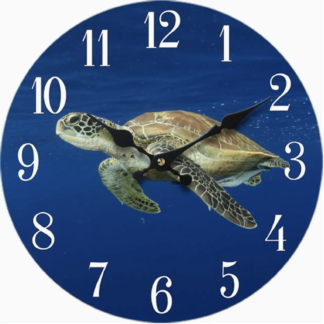 Turtle Wood Clock